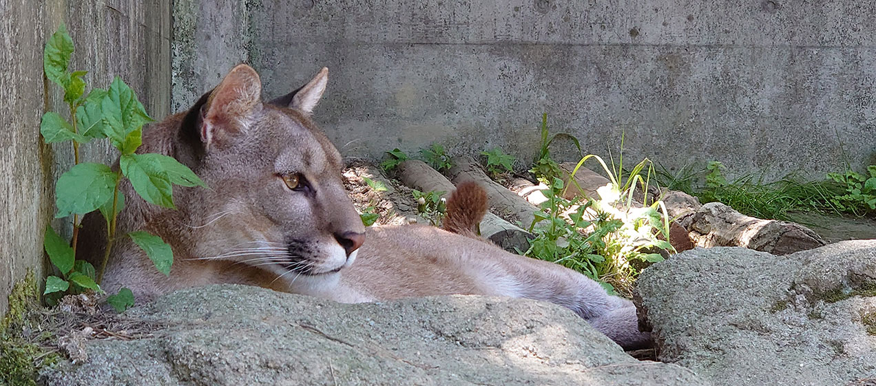 盛岡市動物公園ZOOMO