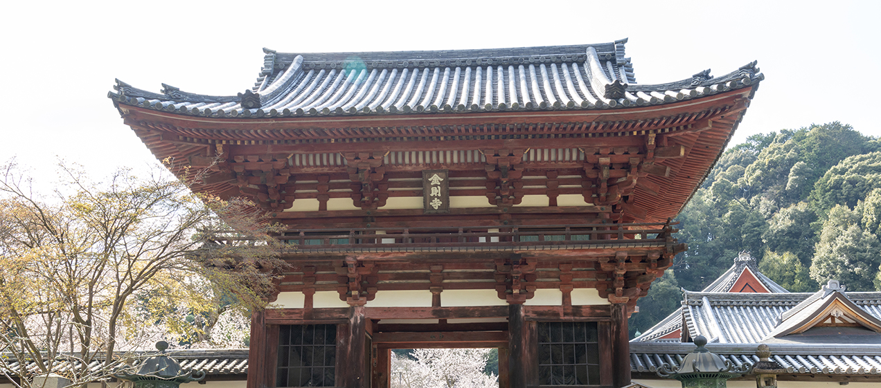 天野山金剛寺