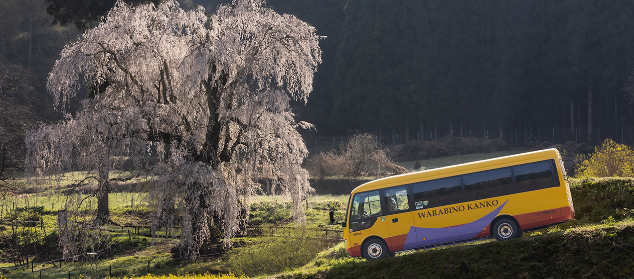 わらび野観光株式会社