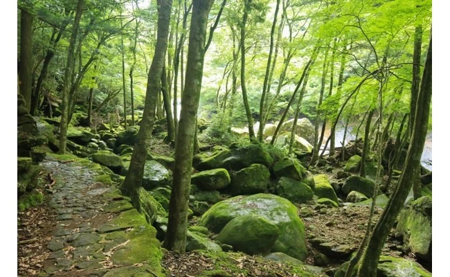 滑床溪谷的風景②