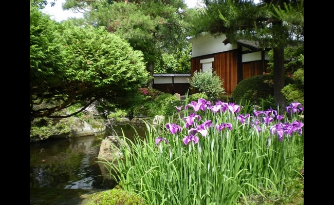 夏日庭園