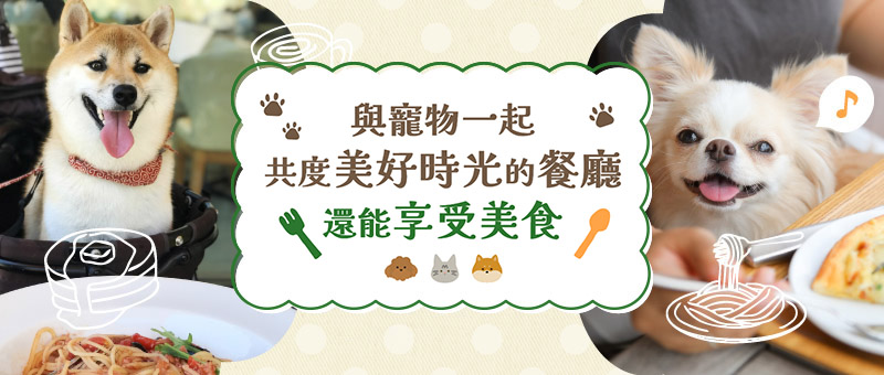 與寵物一起共度美好時光的餐廳