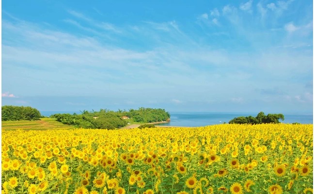 長崎鼻