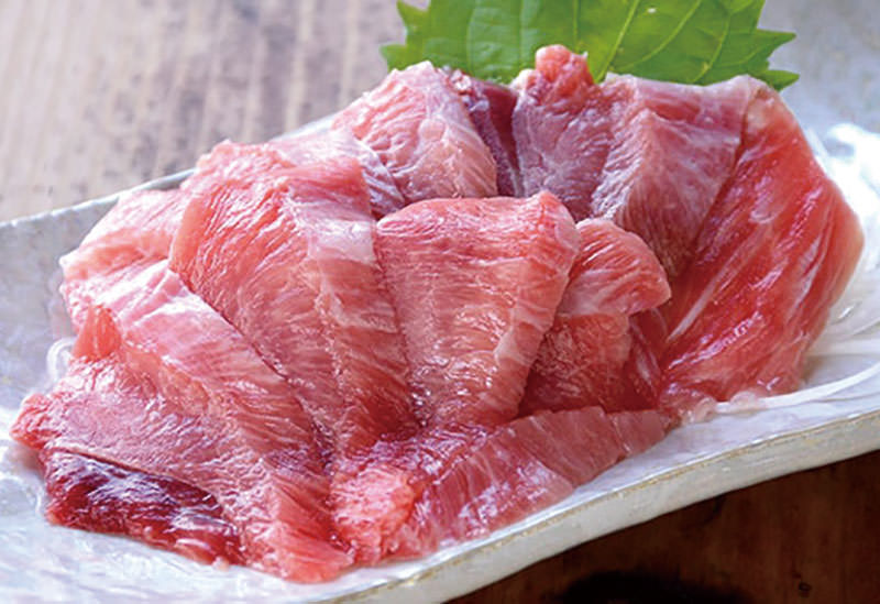 小田原さかなセンター