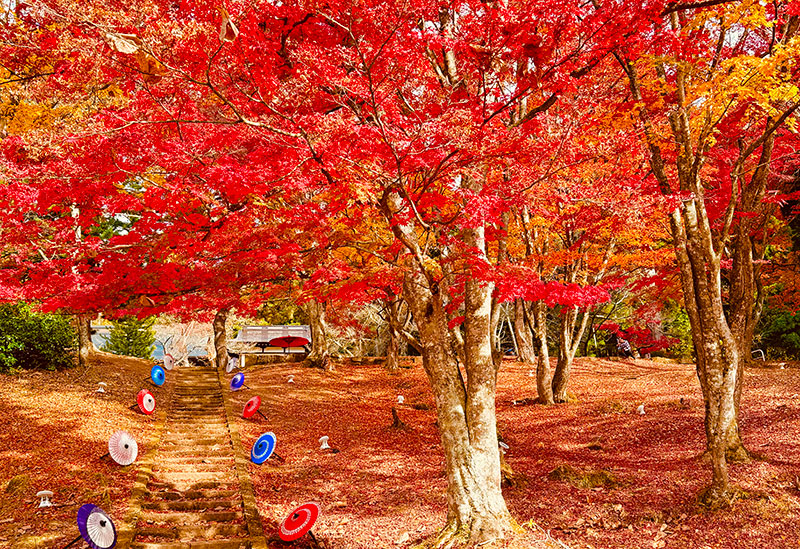 土津神社-こどもと出世の神さま-