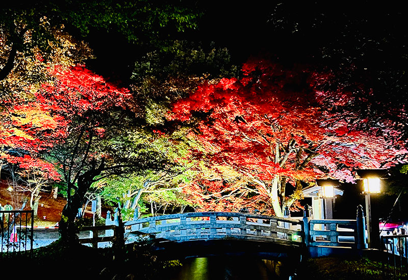 土津神社-こどもと出世の神さま-