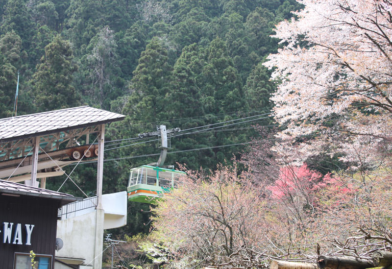 弥彦山ロープウェイ