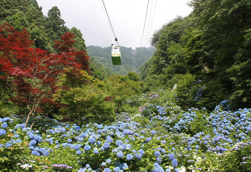 弥彦山ロープウェイ