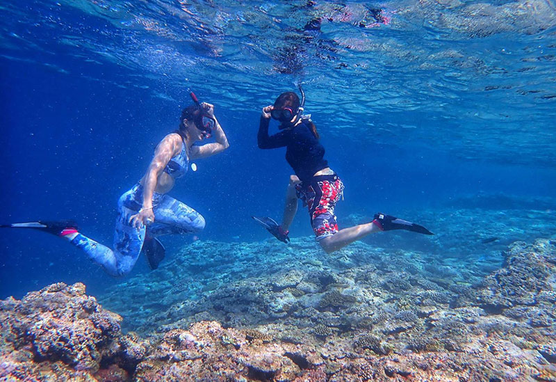 ハーミットクラブ