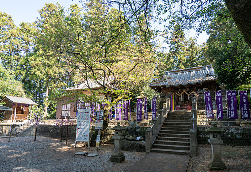 下野星宮神社