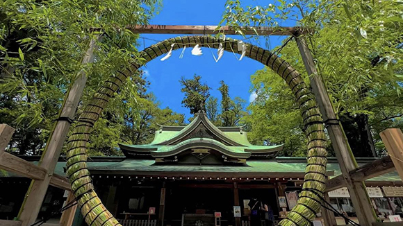 夏の画像1