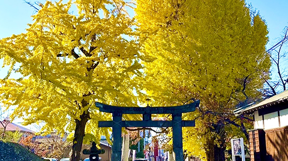 秋の画像1