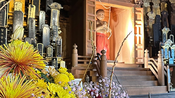 春の画像1