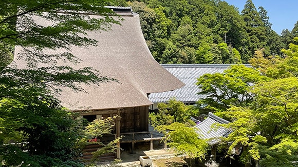 夏の画像1