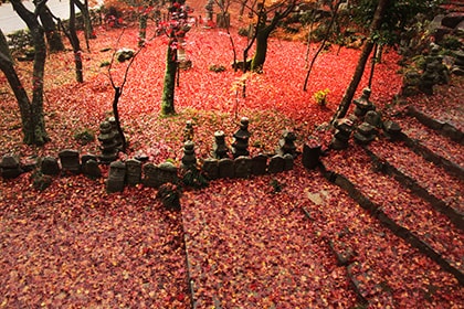 秋の画像2