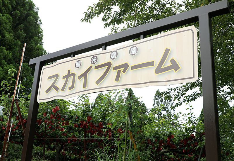 観光農園スカイファーム