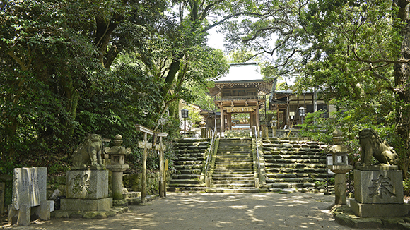 夏の画像1