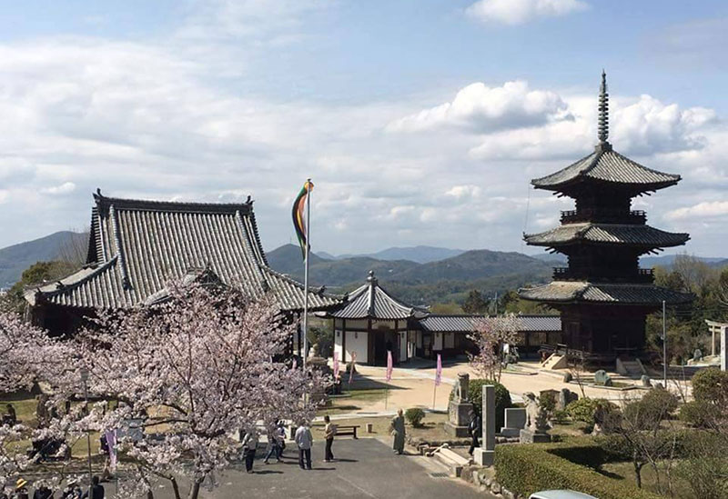上寺山　餘慶寺