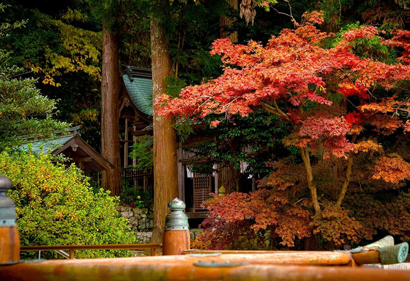 物部神社