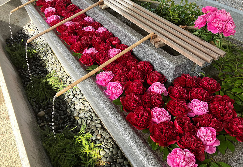 越中総鎮守一宮　射水神社