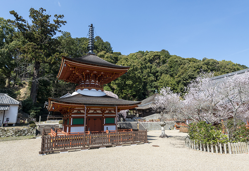 天野山金剛寺