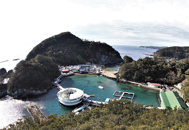 下田海中水族館