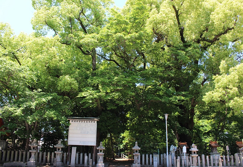 泉穴師神社