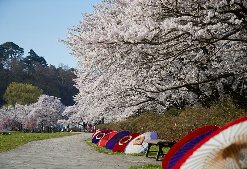 展勝地公園