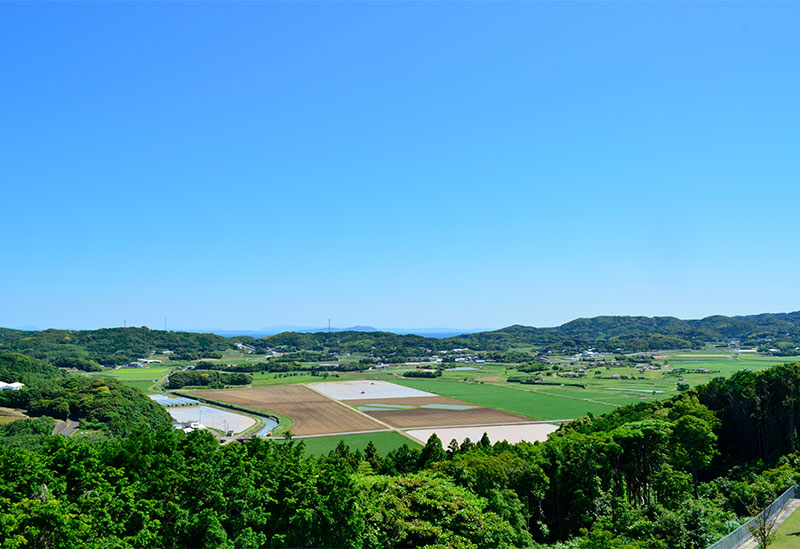 壱岐市立一支国博物館