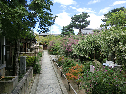 東光院 萩の寺