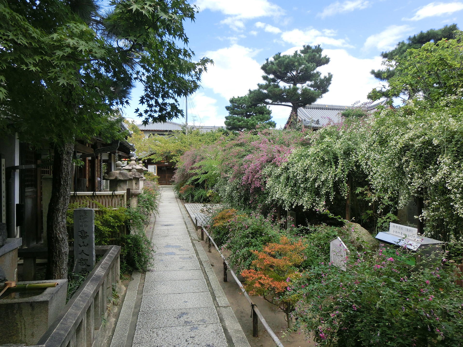 東光院 萩の寺