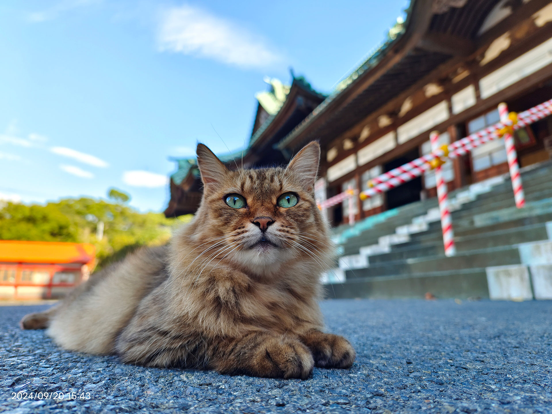 開運 富士 毘沙門天（妙法寺）