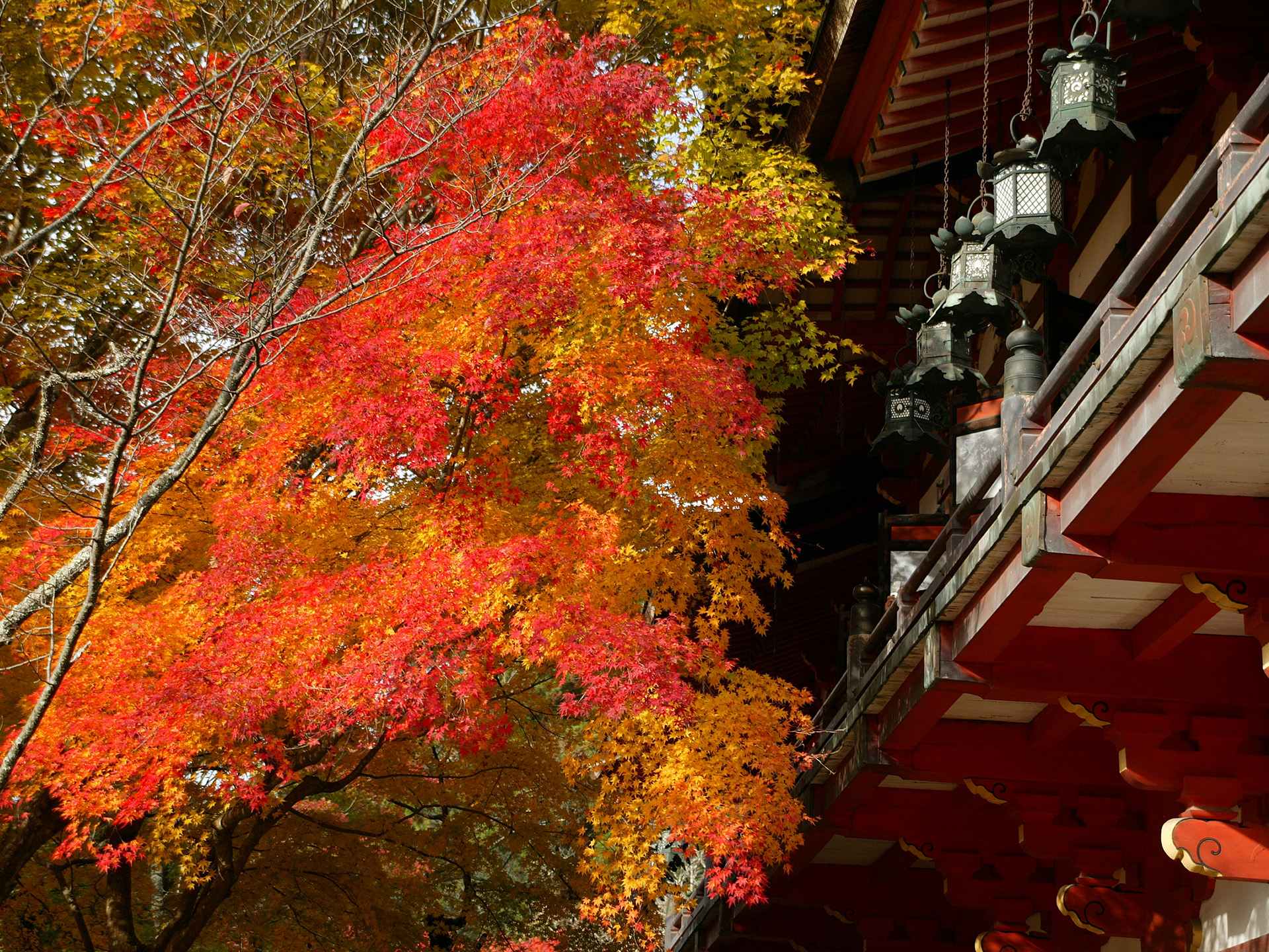 談山神社
