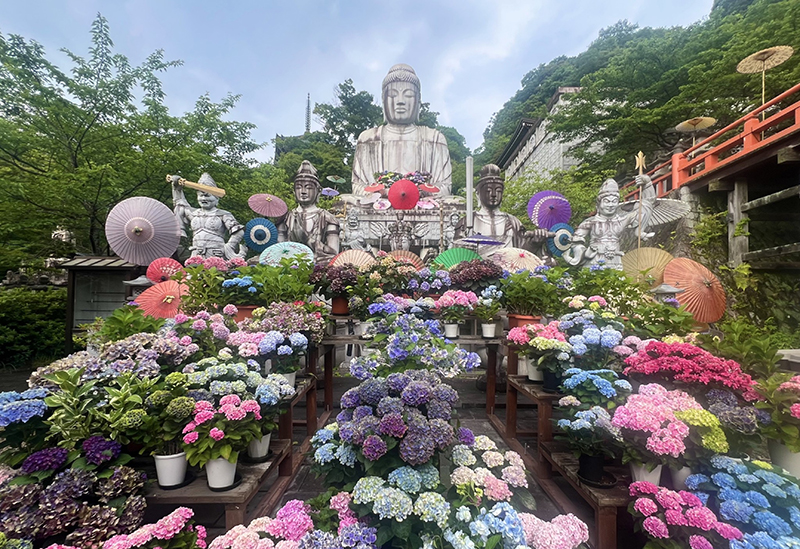 壷阪寺