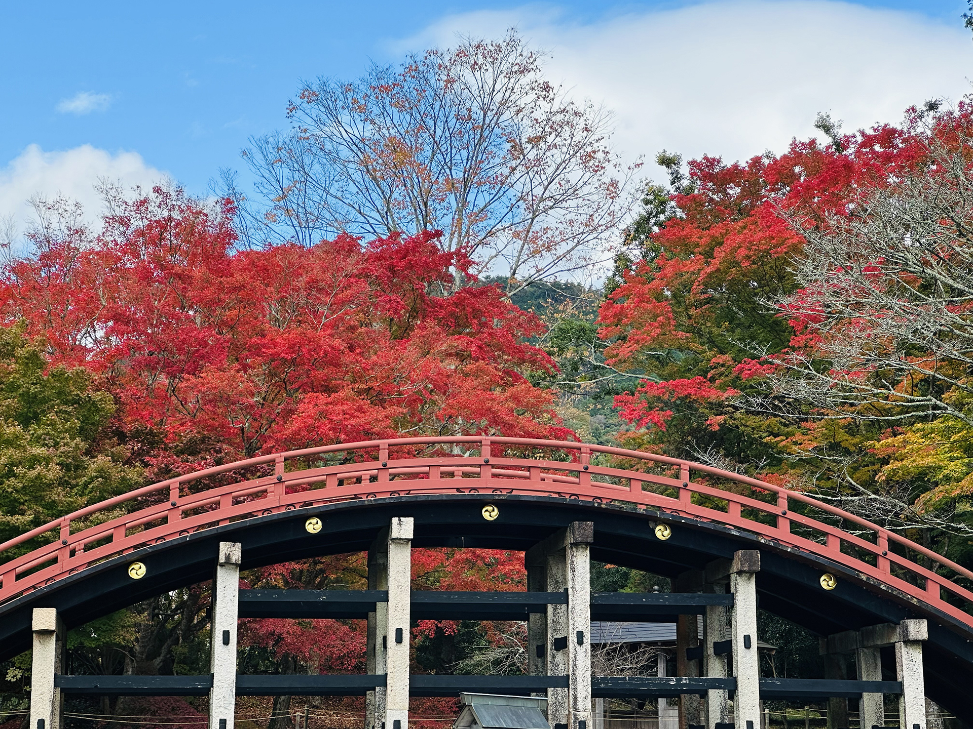丹生都比売神社
