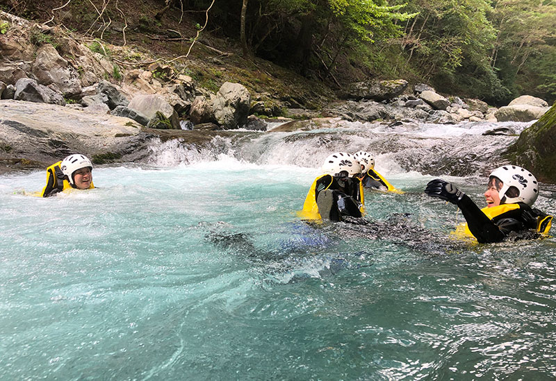 エバーグリーン