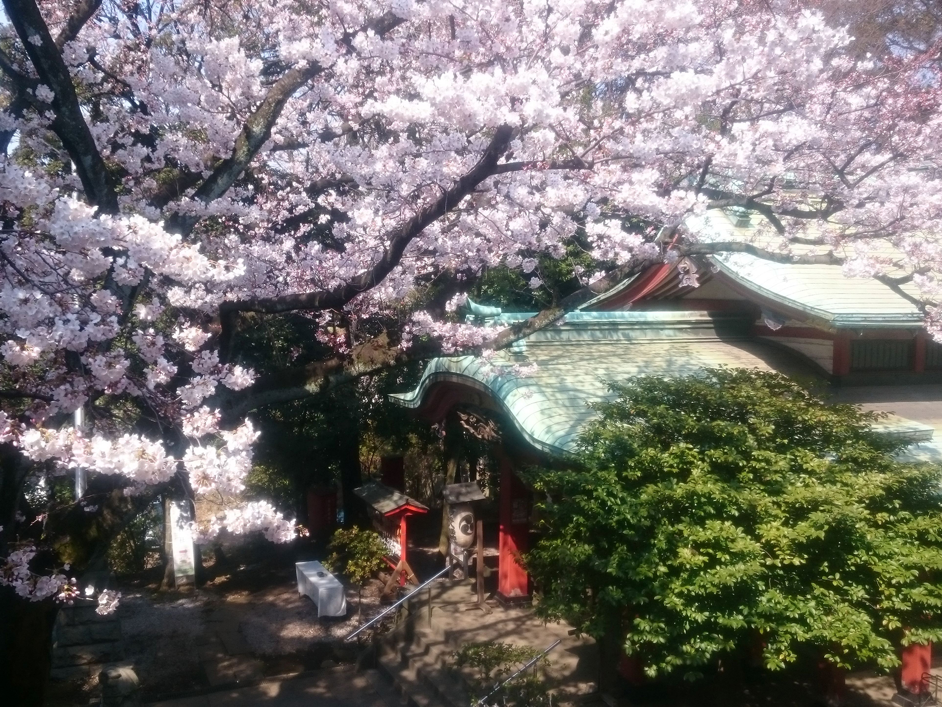 雪ヶ谷八幡神社