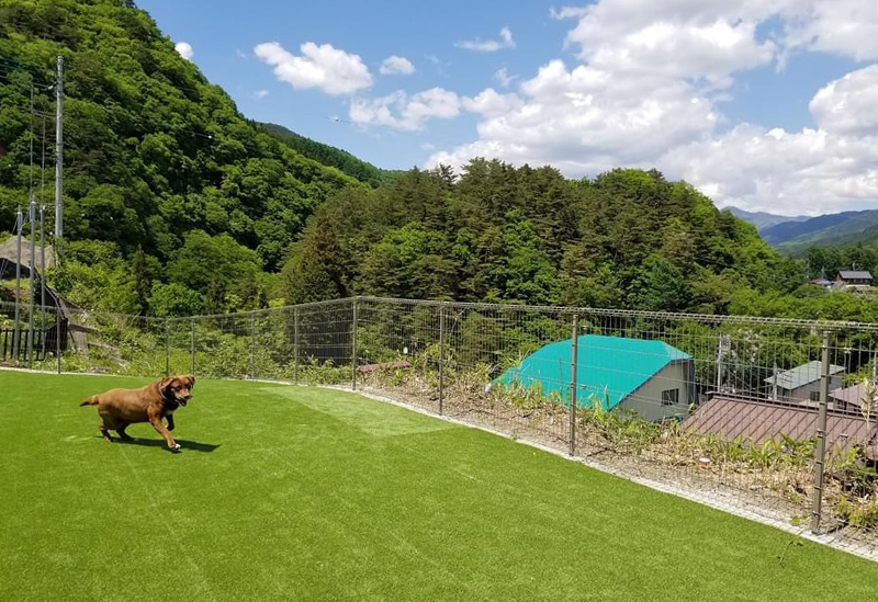 道の駅 尾瀬かたしな