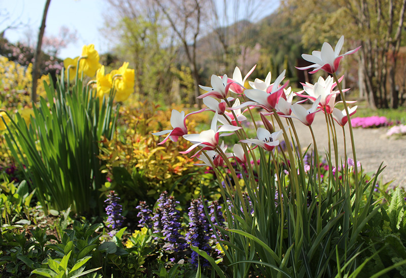 花の駅・片品 花咲の湯