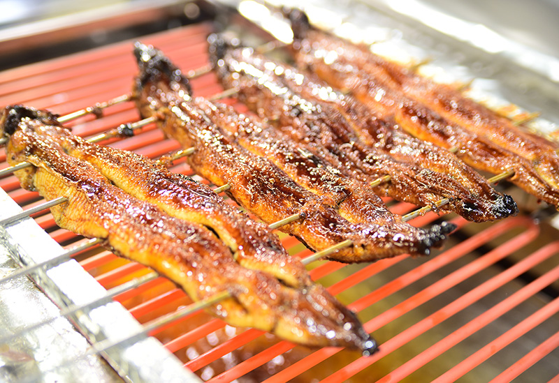 一色さかな広場