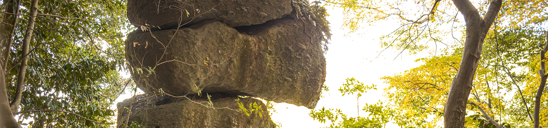 穴弘法奥之院 霊泉寺