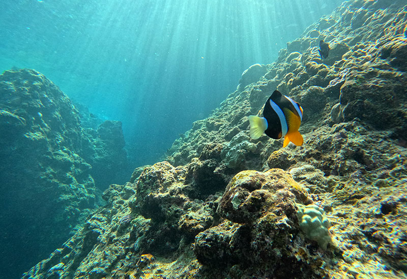 マリンクラブUMI