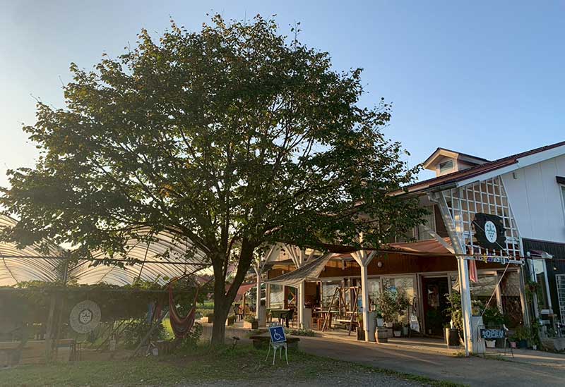 やまふじぶどう園