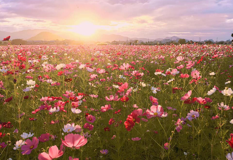 久保治　洞川温泉
