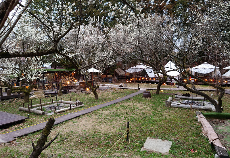 南阿蘇 STAY HAPPY