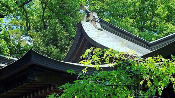 夏の画像1
