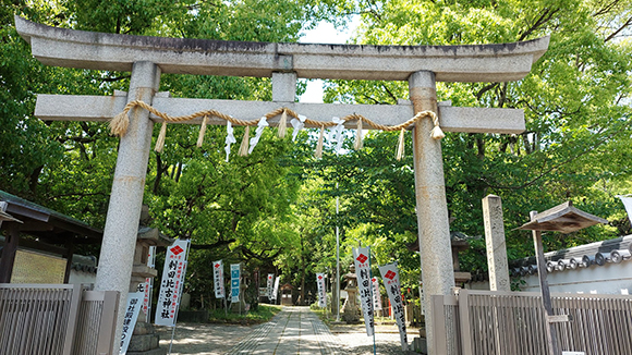 夏の画像1