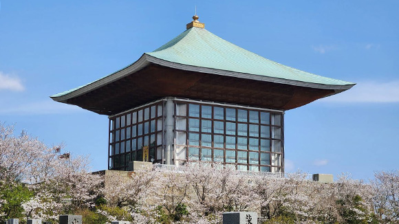 春の画像1