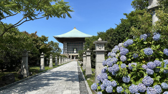 夏の画像1
