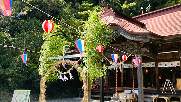 夏の画像1